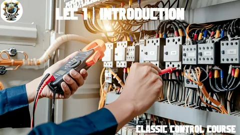 Professional residential electrician performing electrical wiring and safety inspection in a Hawke's Bay home
